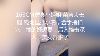 女仆装女奴的散鞭伺候