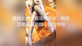 南宫 能代女仆