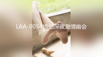 LAA-0054情侣深夜激情幽会