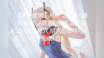 【AI画质增强】探花档案~绝美车模~全程露脸极品身材