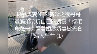 星空传媒 XKG033 爆乳亲姐乱伦失恋弟弟 乐乐