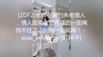 网吧包厢顶级美女泽美情趣内衣网袜激情艳舞 按在键盘上疯狂输出