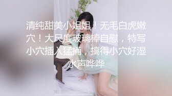 红唇妖娆妹子情趣装扣逼自慰假屌抽插，张开双腿掰穴特写