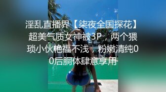  优雅白富美气质女神DemiFairyTW爹咪性感黑丝吊带诱惑，站立后入