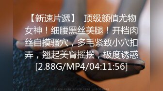 开了一天会项目结束了发个长视频庆祝下吧看看有没有看视频能缴枪的