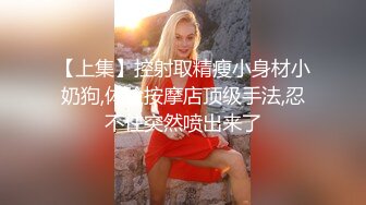 TWTP 公园女厕全景偷拍多位极品美女嘘嘘裹胸裙妹子整理衣服奶又白又大 (2)