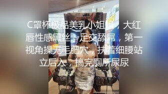 C罩杯极品美乳小姐姐，大红唇性感黑丝，足交舔屌，第一视角操无毛肥穴，扶着细腰站立后入，搞完厕所尿尿