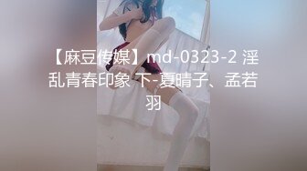 【麻豆传媒】md-0323-2 淫乱青春印象 下-夏晴子、孟若羽