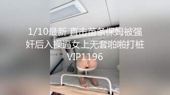 极品少妇与维修工的日常