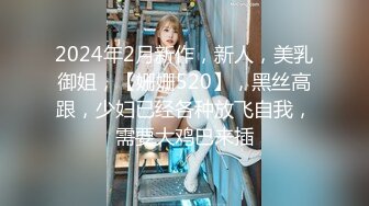 2024年2月新作，新人，美乳御姐，【姗姗520】，黑丝高跟，少妇已经各种放飞自我，需要大鸡巴来插