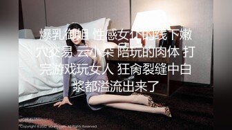 OnlyFan 骚娘子