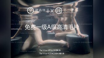 免费一级A级高清毛片