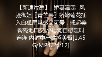 STP17326 极品纹身女神，蜂腰翘臀美乳魔鬼身材，沙发啪啪完美展示