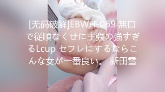 [无码破解]EBWH-069 無口で従順なくせに主張の強すぎるLcup セフレにするならこんな女が一番良い。 新田雪