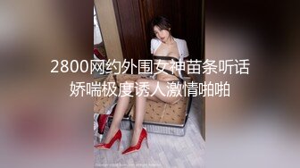 丝袜服饰系列写真~美腿丝袜【19V】 (4)