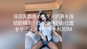 淫语乳首责めでダメ执事を连続射精！！社长令嬢のお仕置きサディスティックROOM