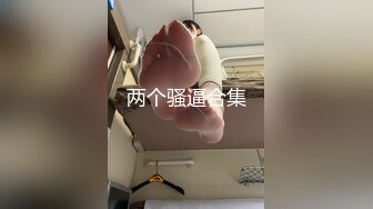 两个骚逼合集