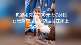 STP31436 国产AV 麻豆传媒 MTVQ1 突袭女优家 EP14 性爱篇 从厨房到卧室 苏清歌 VIP0600