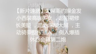 十二月最新流出 商场女厕全景后拍（露脸）美女尿尿两个气质长裙学妹