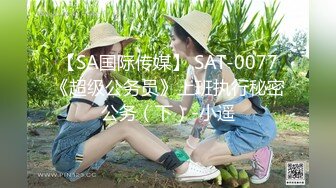 【SA国际传媒】 SAT-0077《超级公务员》上班执行秘密公务（下）-小遥