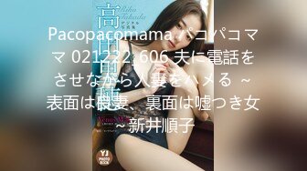 Pacopacomama パコパコママ 021222_606 夫に電話をさせながら人妻をハメる ～表面は良妻、裏面は嘘つき女～新井順子