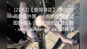 [2DF2]【壹屌寻花】3500约高颜值外围，小姐姐很警觉试图挡镜头，成功偷拍性爱全程 - soav_evMerge_ev [BT种子]