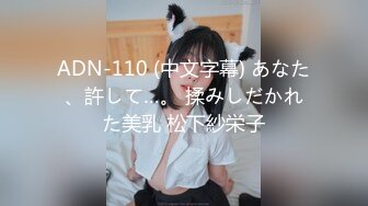 ADN-110 (中文字幕) あなた、許して…。 揉みしだかれた美乳 松下紗栄子