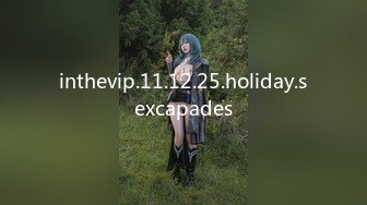 inthevip.11.12.25.holiday.sexcapades