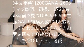 (中文字幕) [200GANA-2603] マジ軟派、初撮。 1722 夜の新宿で見つけたムチムチ生足GAL！経験人数100人超え！？これまたムッチムチのお尻を掴んで容赦ないピストンを浴びせると、可愛