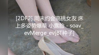 [2DF2] 周末约会高挑女友 床上多姿势爆草 小露脸 - soav_evMerge_ev[BT种子]